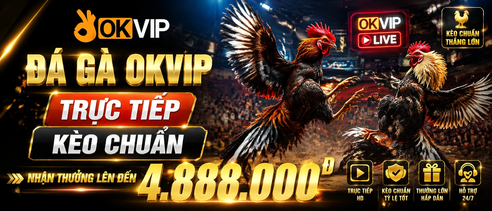 Đá Gà Campuchia trên okvip.com.bz
